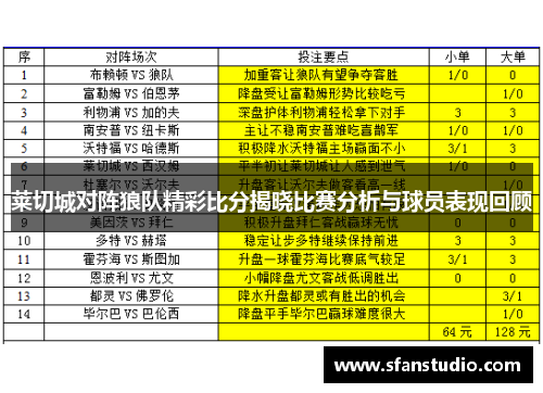 莱切城对阵狼队精彩比分揭晓比赛分析与球员表现回顾